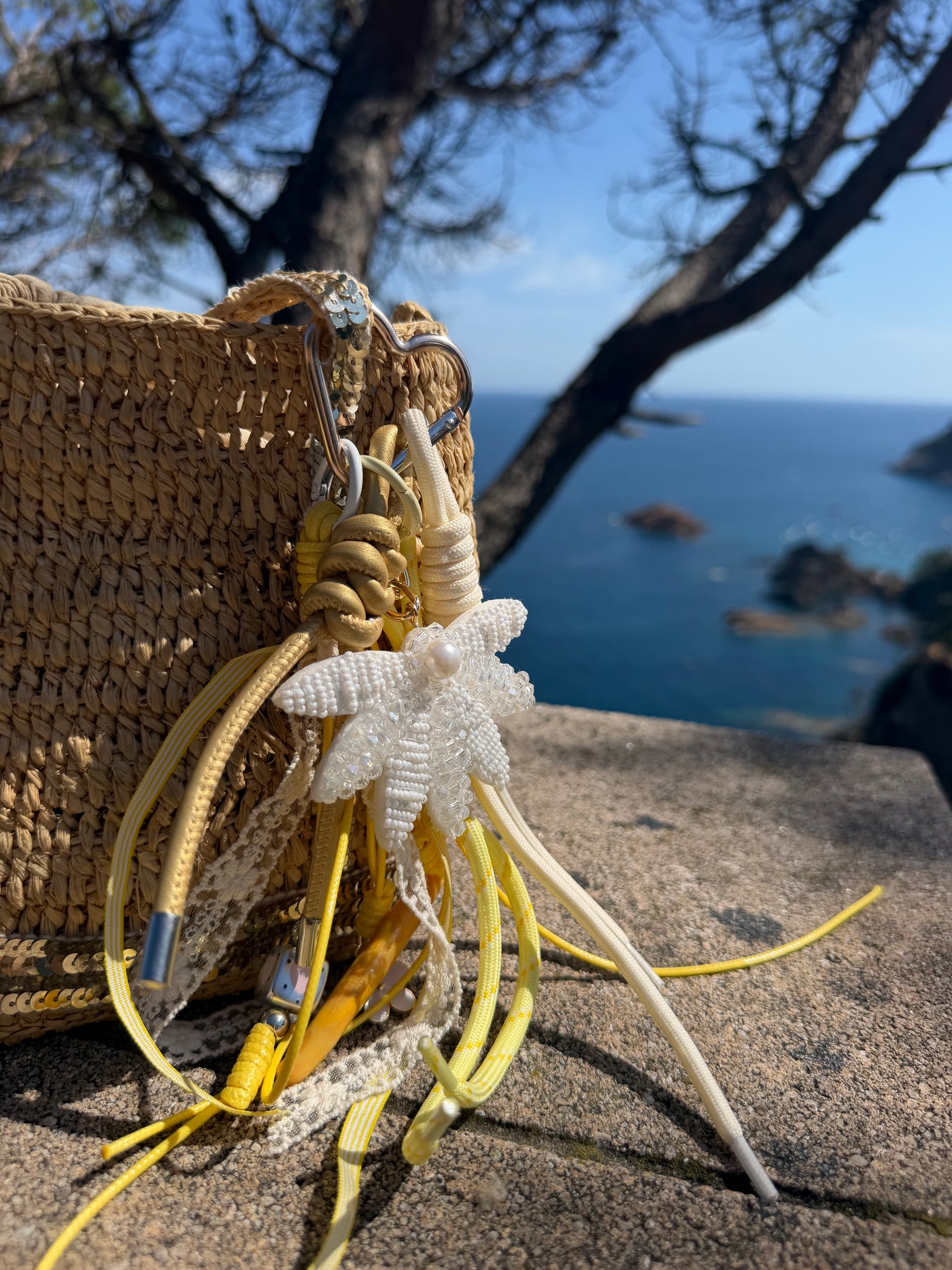 Bijou de sac — Étoile de mer